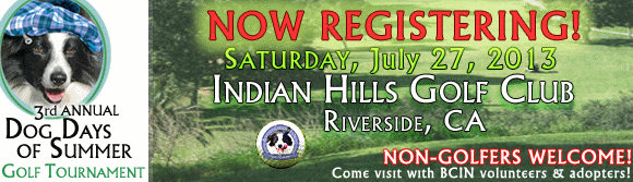 2013 Golf Tournament!