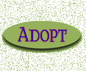 Adopt