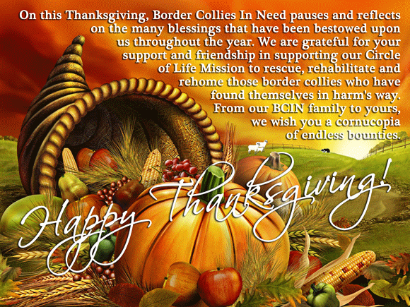 Happy Thanksgiving