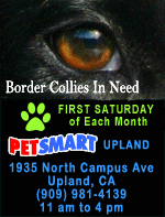 Visit Us...