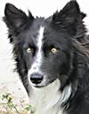 Duncan