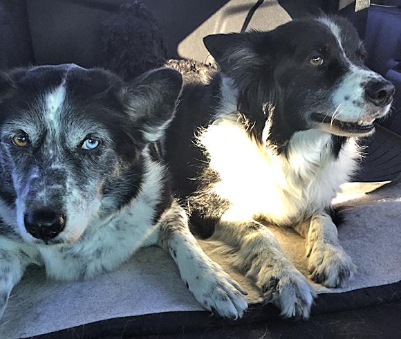 Moss & Tessy