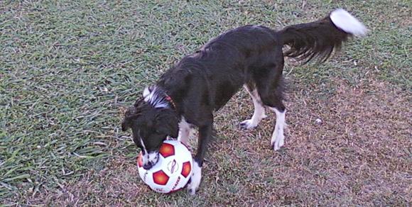 Gabby