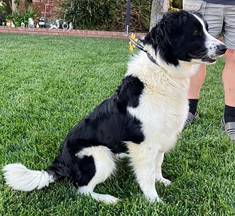 Heidi