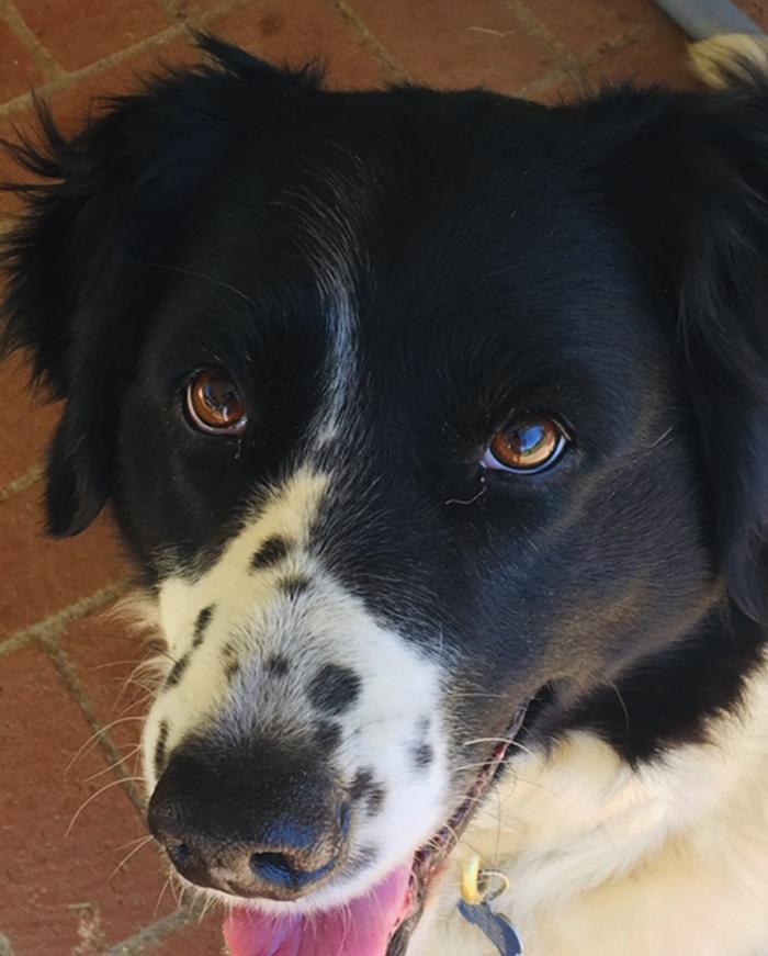 Esmeralda