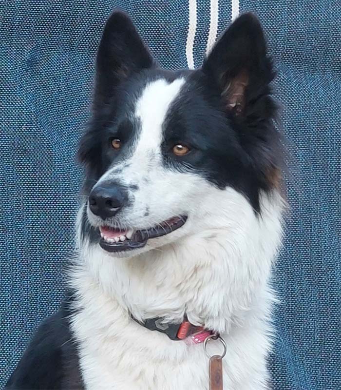Abby
