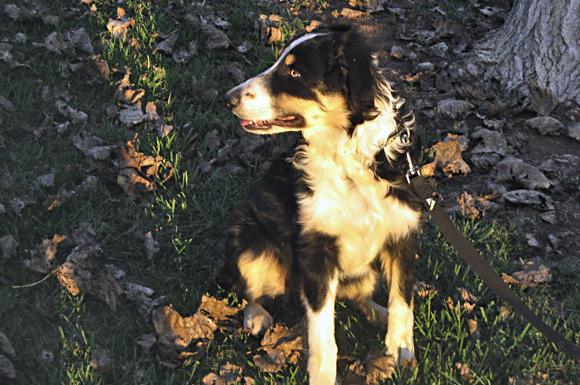 Murphy